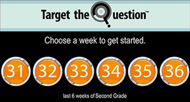 Target the Question™'s main digital review interface